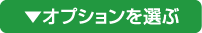 オプションを選ぶ