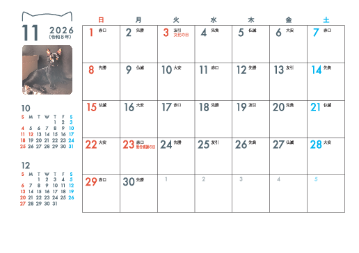 11月